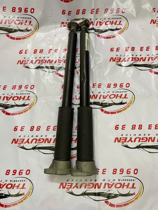 Giảm xóc sau Mercedes E200 E250 E300 W213 mã A2133201030